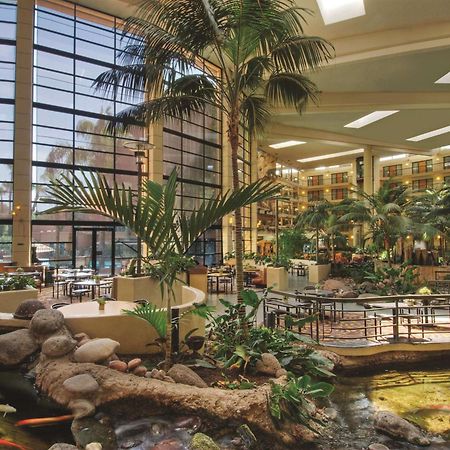 Embassy Suites By Hilton Phoenix Biltmore Luaran gambar
